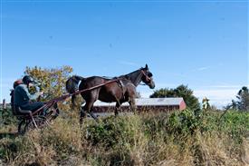 LR-WRF 10182025 Retreat-6426